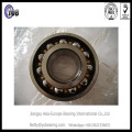 Cheap Price 2204 Self Aligning Ball Bearing